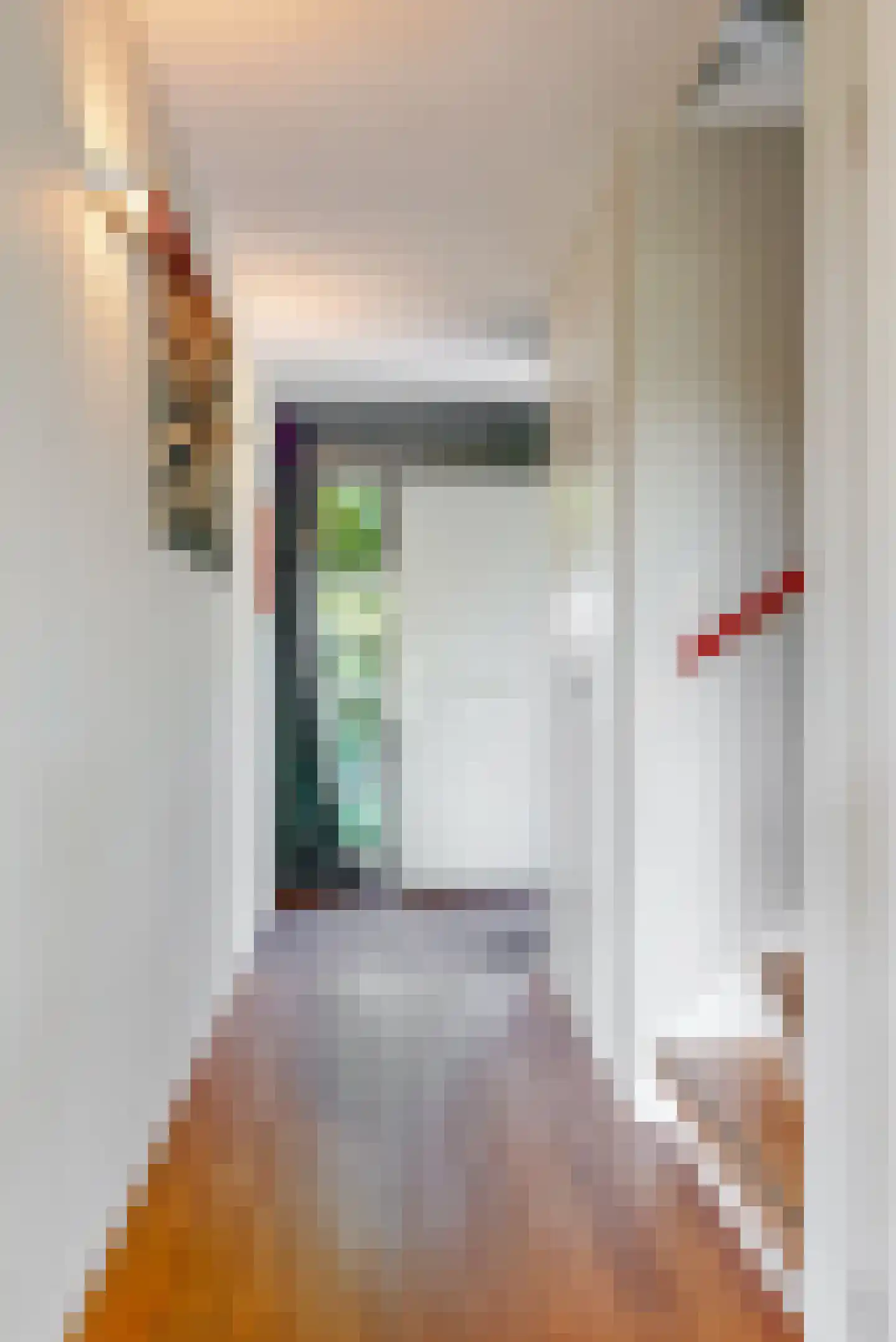 Bloemendaalselaan 62 Leiderdorp thumbnail 6