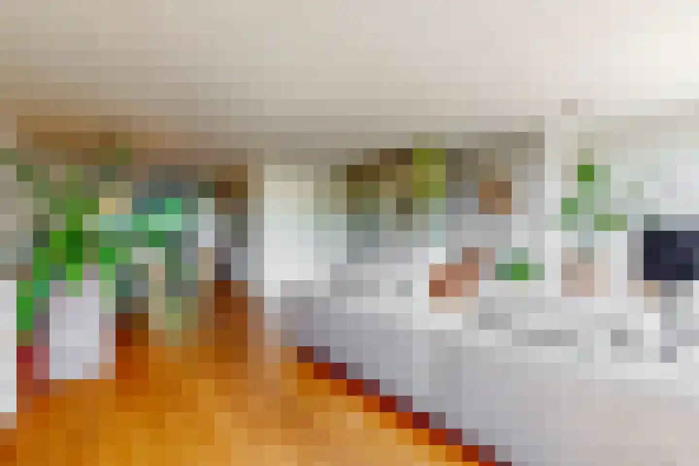 Bloemendaalselaan 62 Leiderdorp thumbnail 8