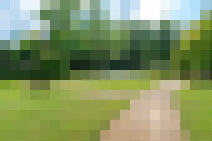 Bloemendaalseweg 136 a23 Bloemendaal thumbnail 41