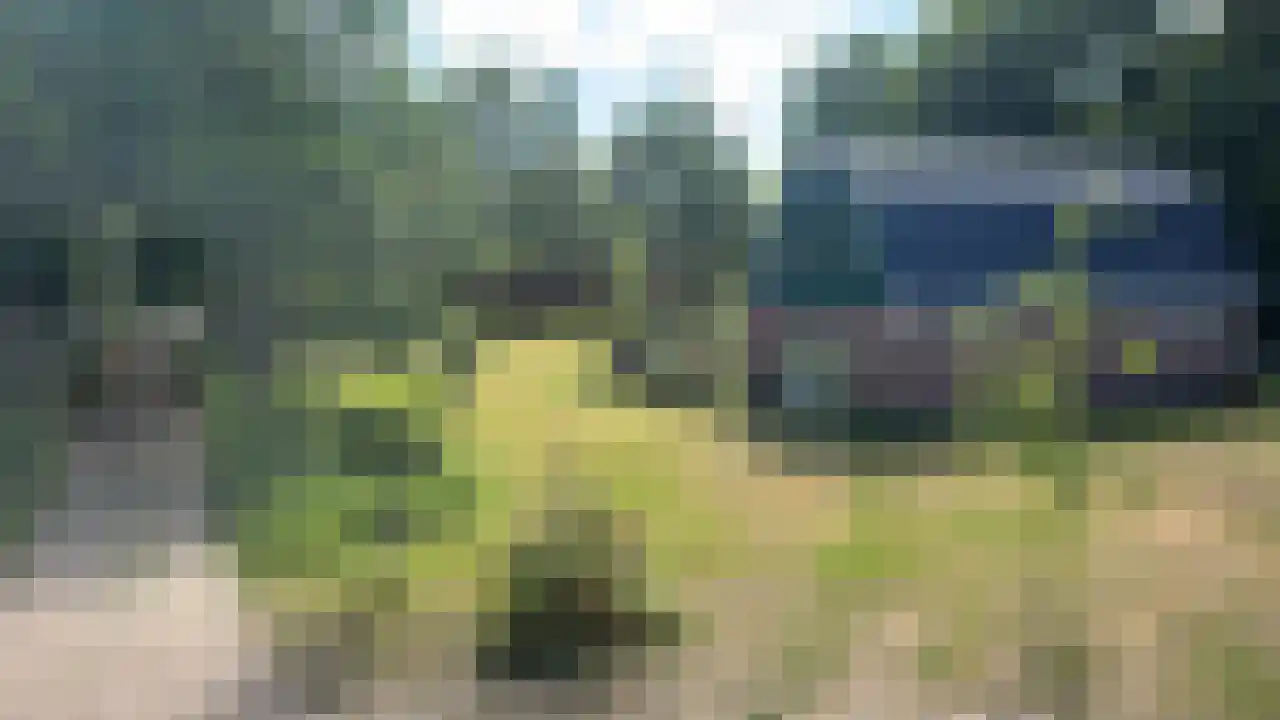Bloemendaalseweg 177 Overveen thumbnail 43