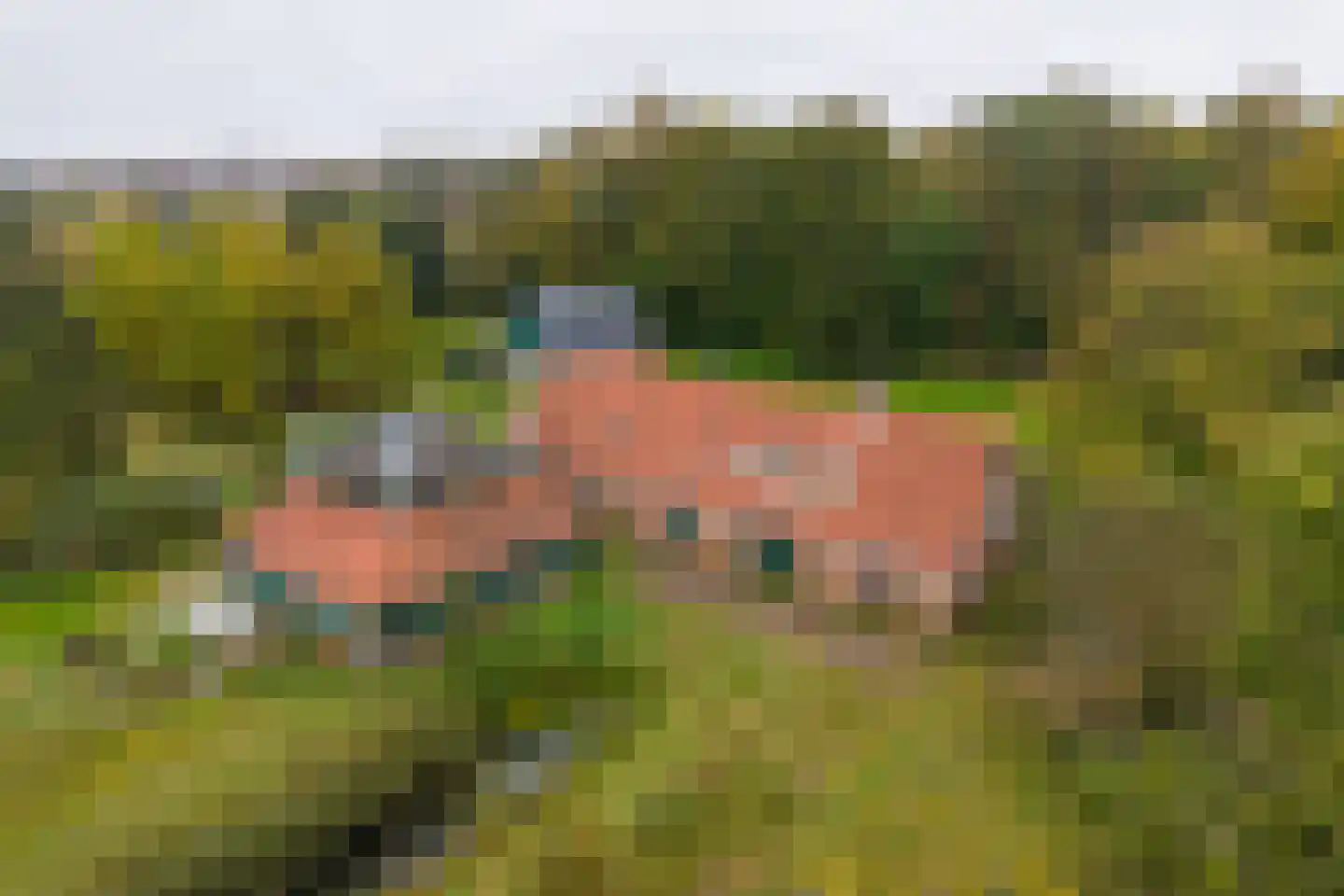 Bloemendaalseweg 177 Overveen thumbnail 45