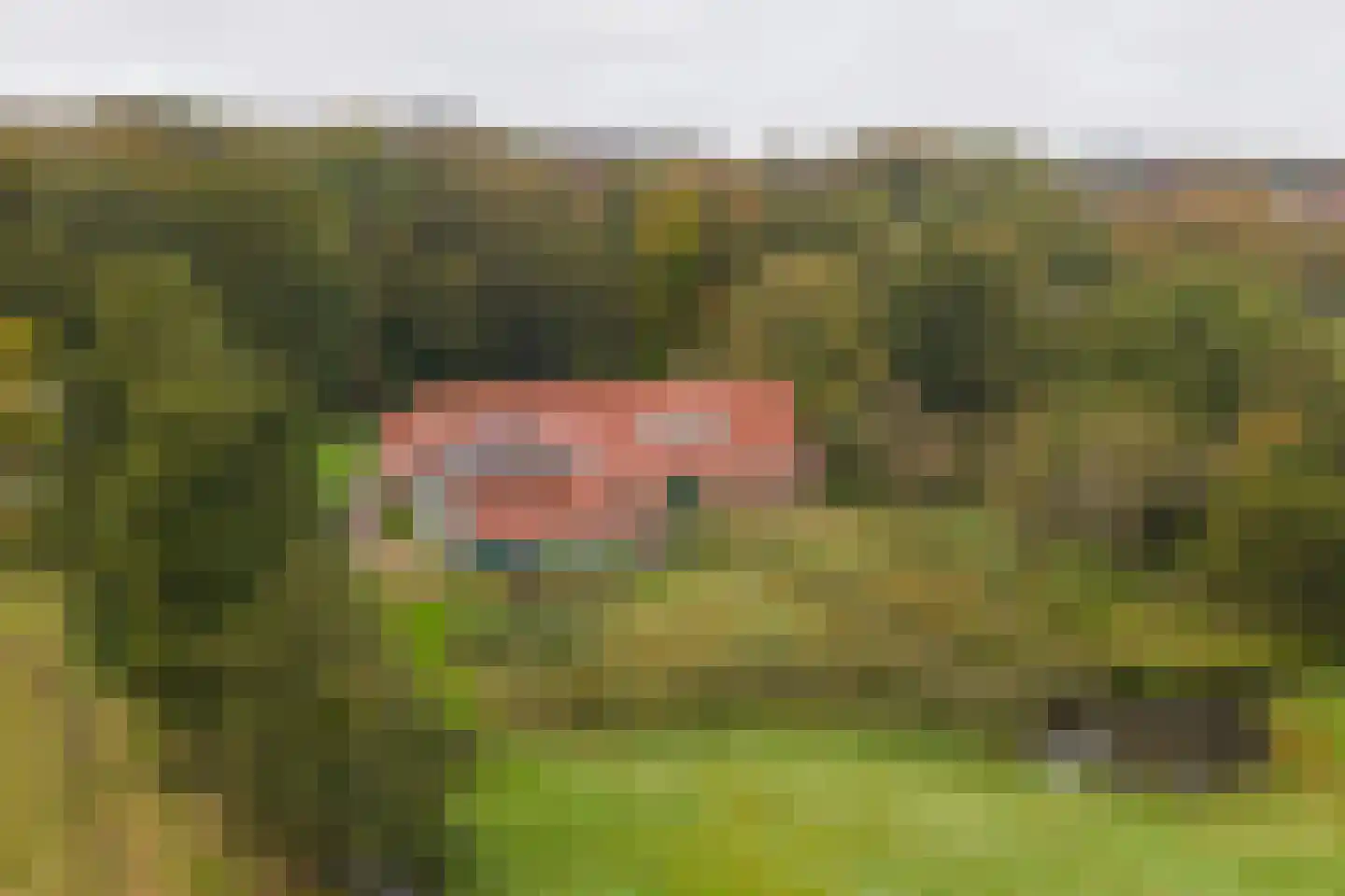 Bloemendaalseweg 177 Overveen thumbnail 46