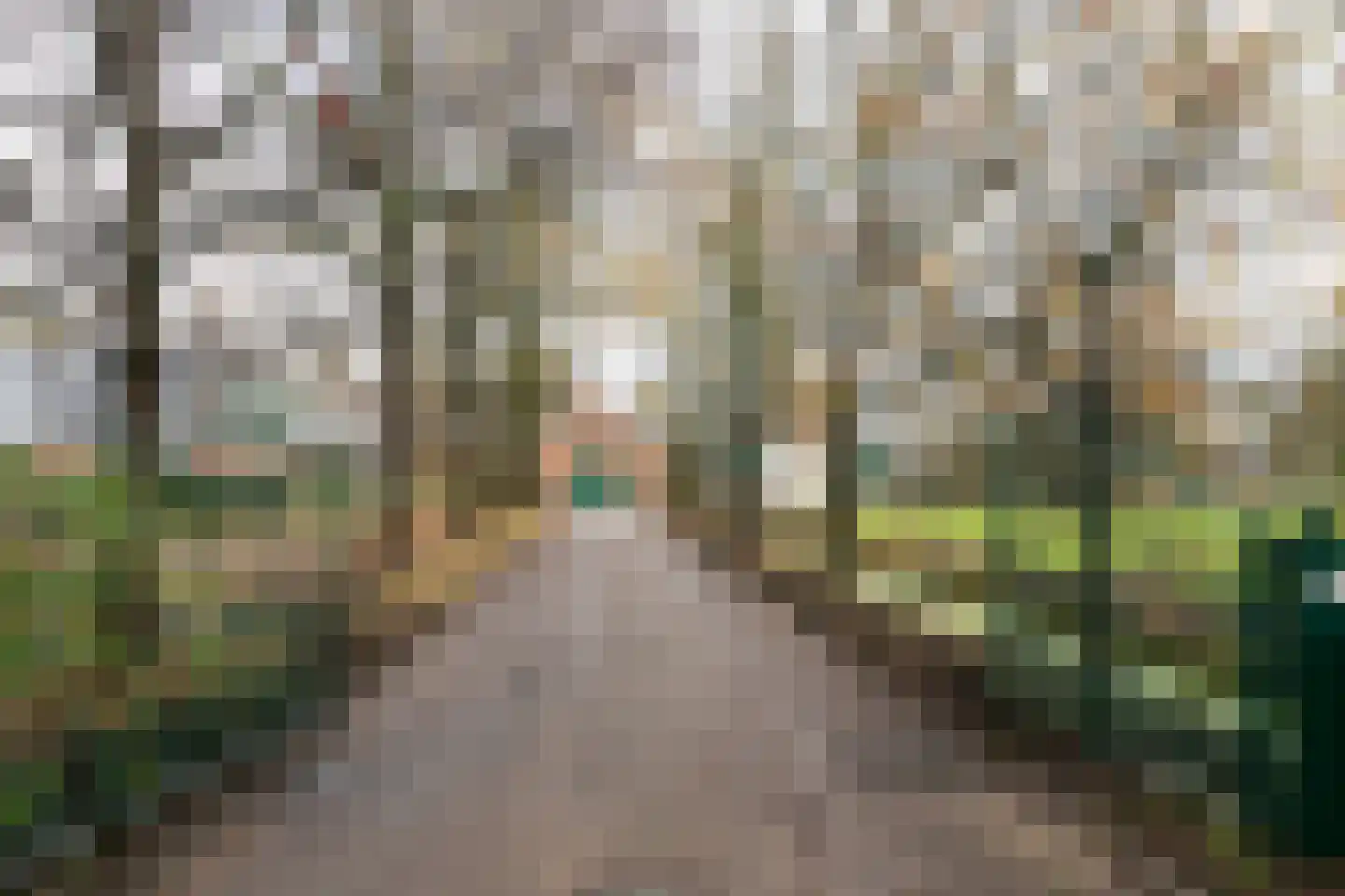 Bloemendaalseweg 177 Overveen thumbnail 8