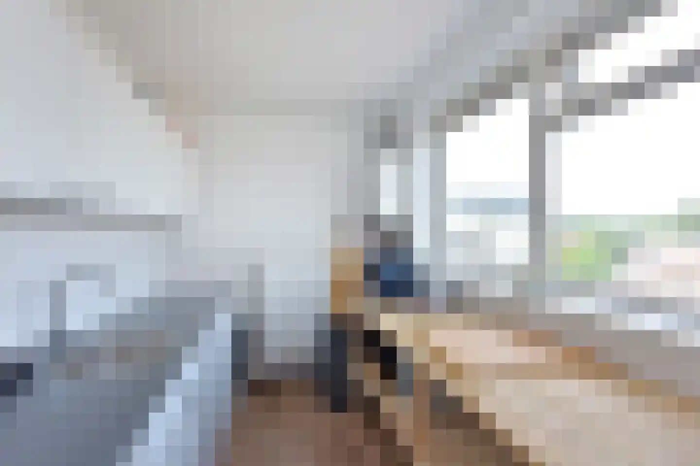 Bloemendaalseweg 20 Nijmegen thumbnail 8