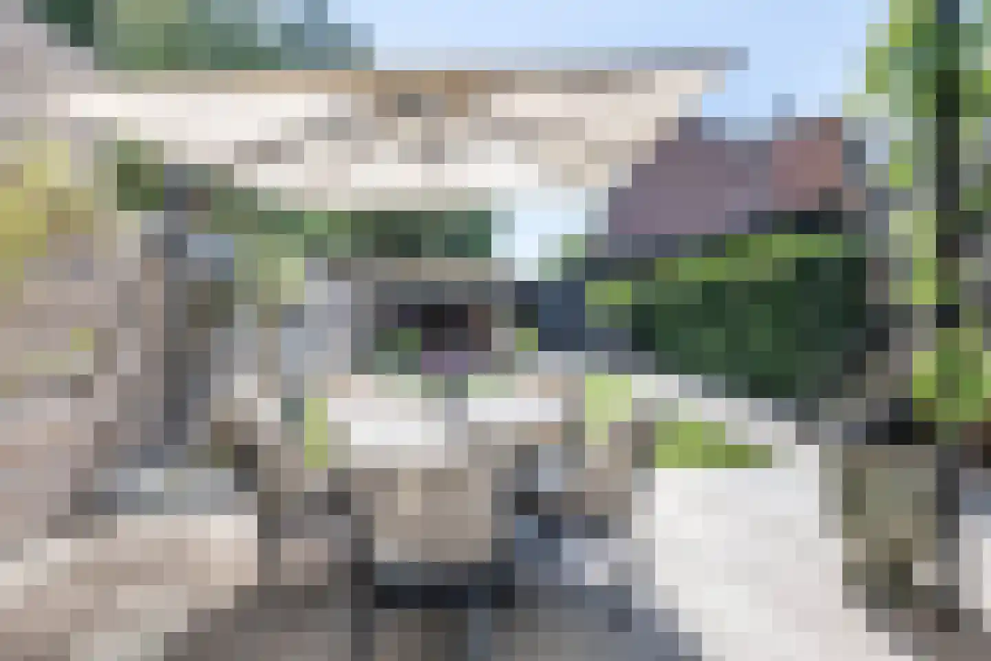 Bloemendaalseweg 229 Overveen thumbnail 25