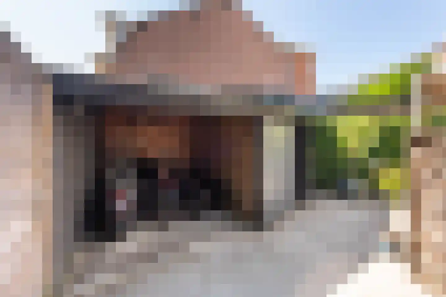 Bloemendaalseweg 229 Overveen thumbnail 30
