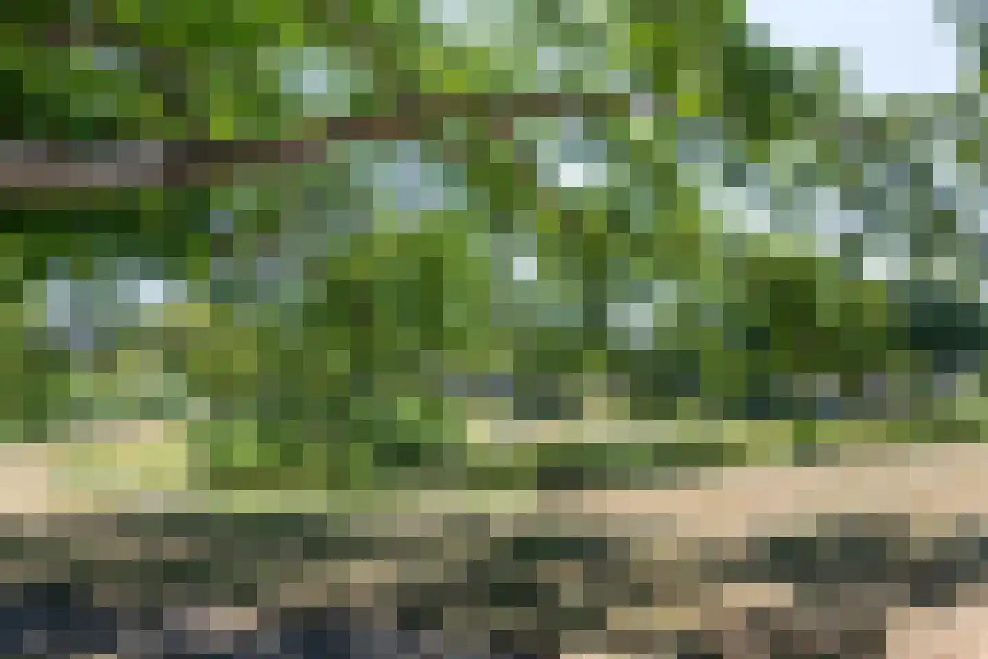Bloemendaalseweg 229 Overveen thumbnail 58