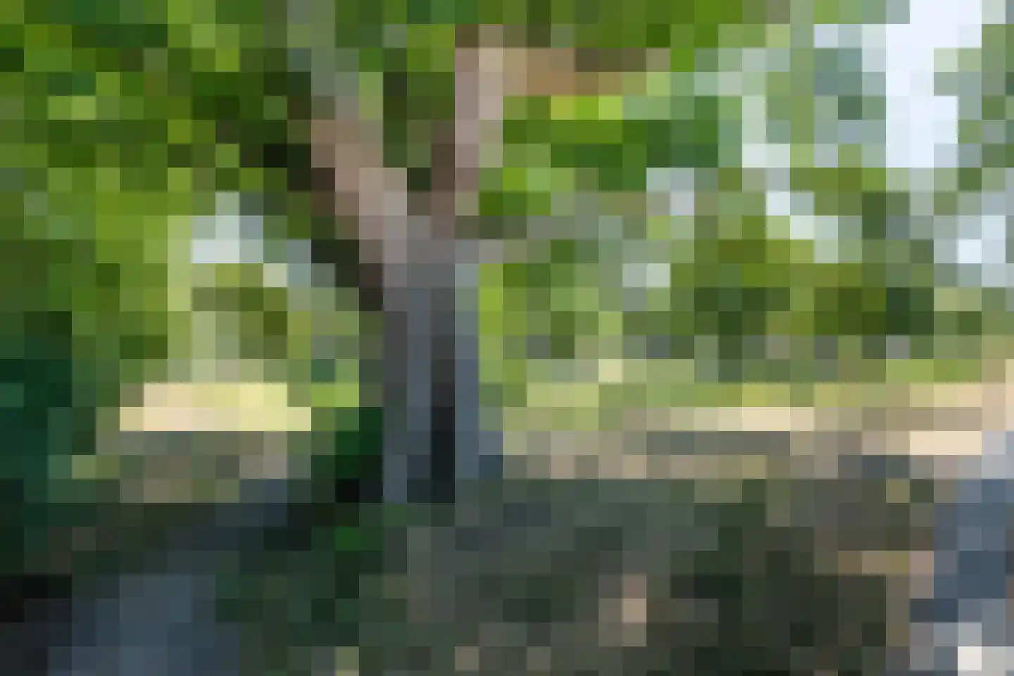 Bloemendaalseweg 229 Overveen thumbnail 59