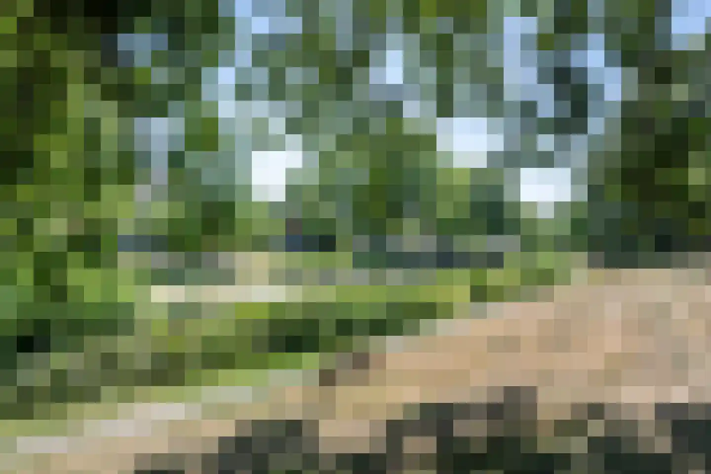 Bloemendaalseweg 229 Overveen thumbnail 60
