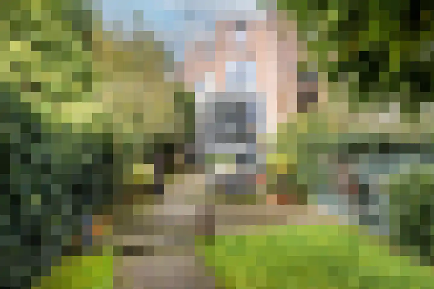 Bloemendaalseweg 243 Overveen thumbnail 13