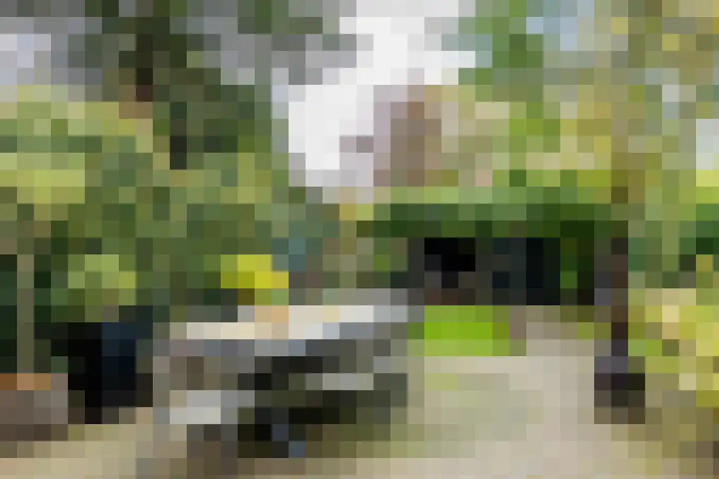 Bloemendaalseweg 243 Overveen thumbnail 14