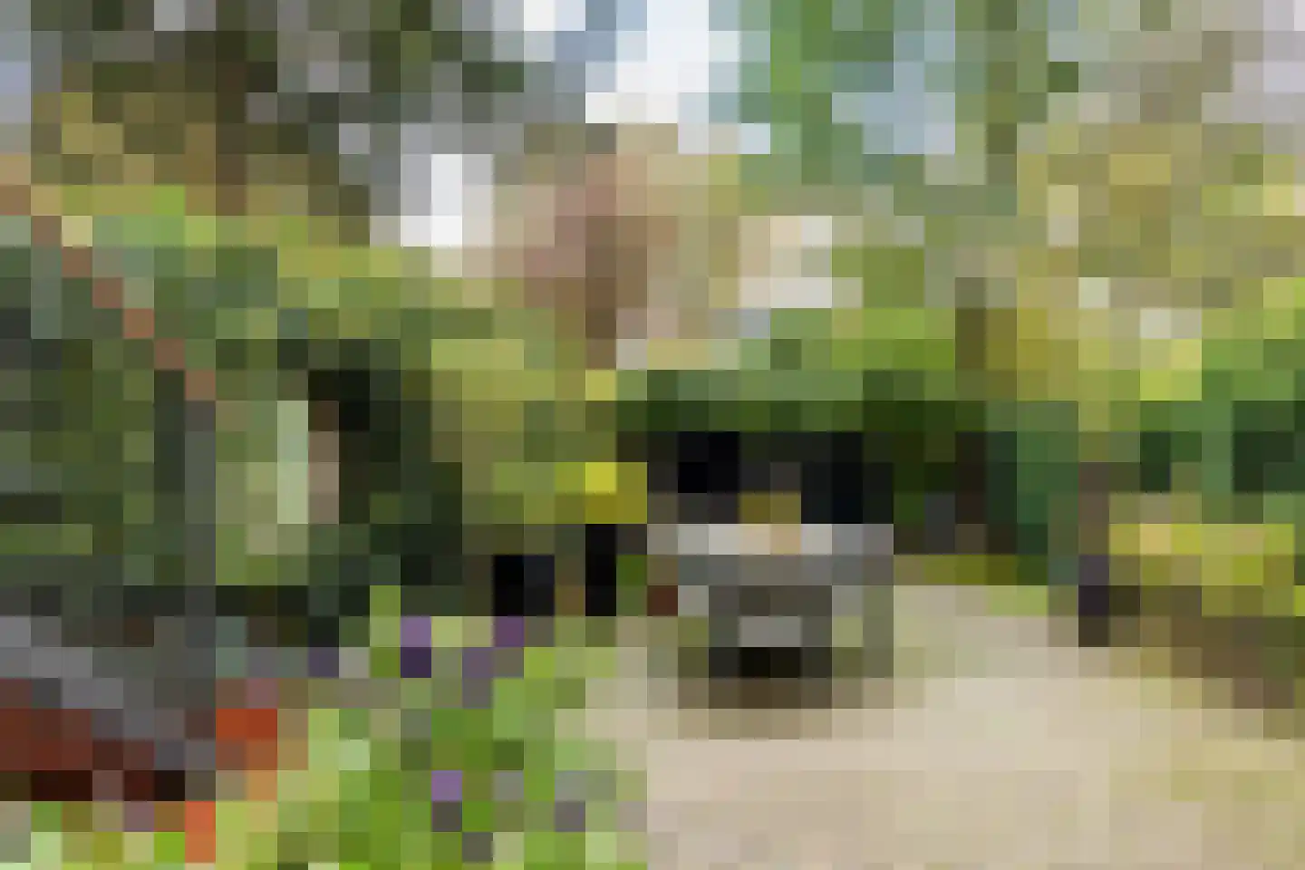 Bloemendaalseweg 243 Overveen thumbnail 15