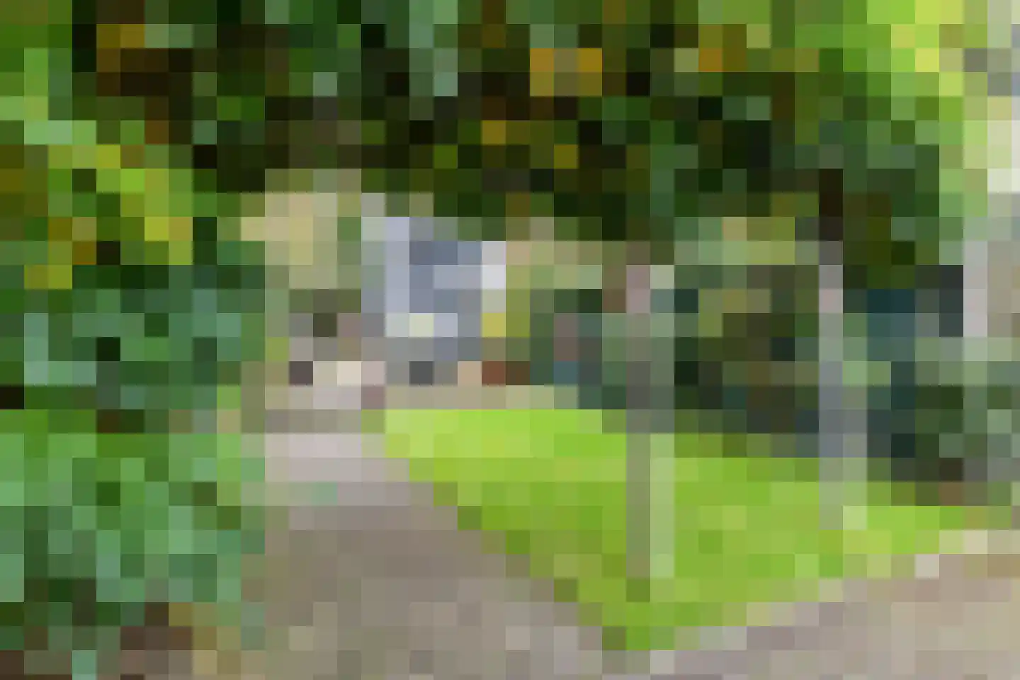 Bloemendaalseweg 243 Overveen thumbnail 19