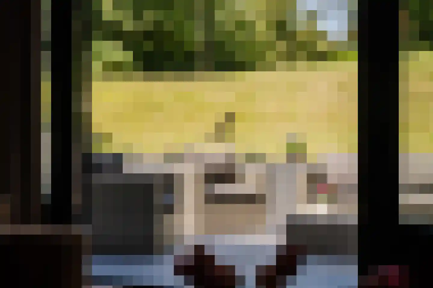 Bloemendaalseweg 250 a Overveen thumbnail 22