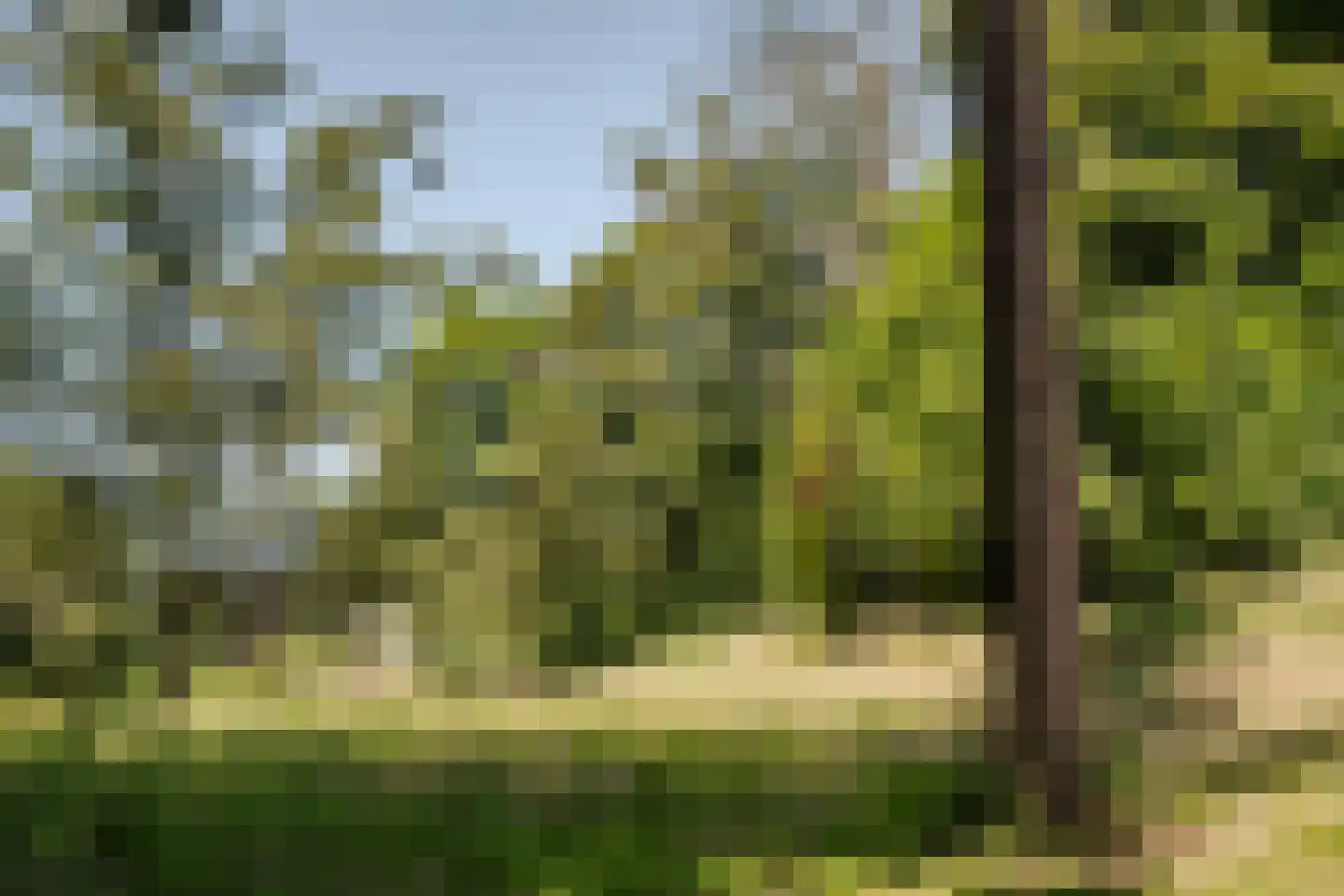 Bloemendaalseweg 250 a Overveen thumbnail 26