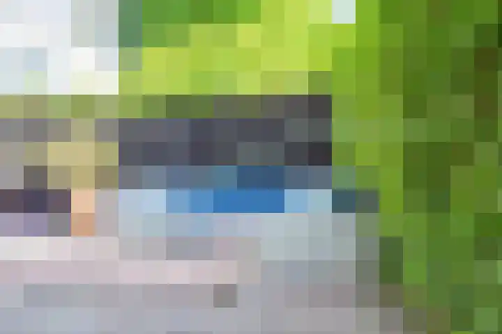 Bloemendaalseweg 291 Overveen thumbnail 18