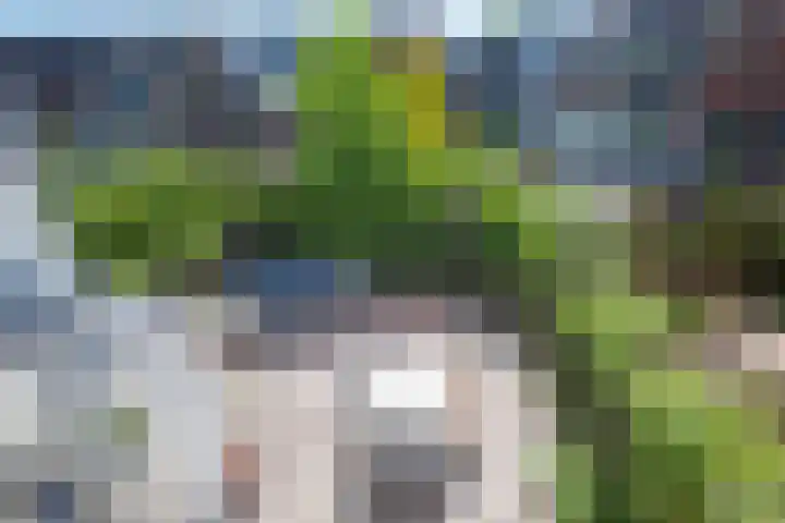 Bloemendaalseweg 291 Overveen thumbnail 36