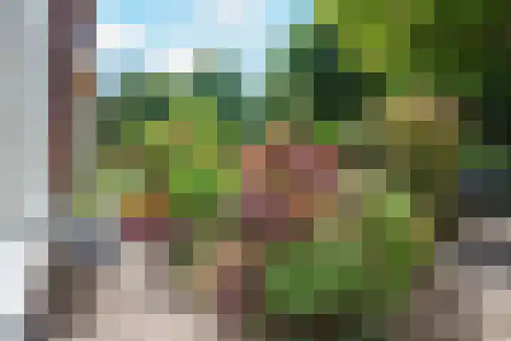 Bloemendaalseweg 291 Overveen thumbnail 71