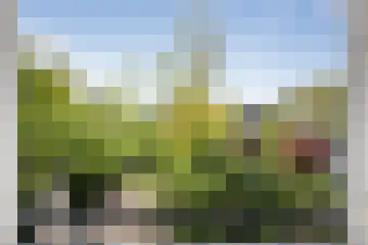 Bloemendaalseweg 299 Overveen thumbnail 10