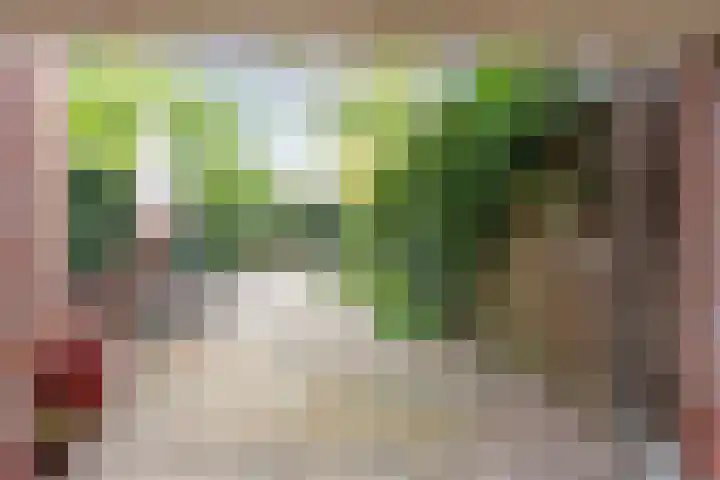 Bloemendaalseweg 299 Overveen thumbnail 19