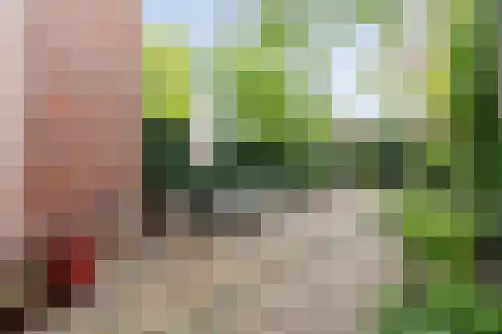 Bloemendaalseweg 299 Overveen thumbnail 20