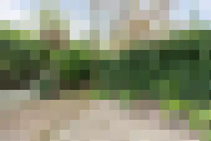 Bloemendaalseweg 299 Overveen thumbnail 22