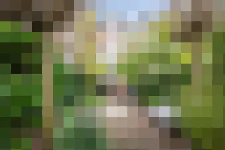 Bloemendaalseweg 299 Overveen thumbnail 23