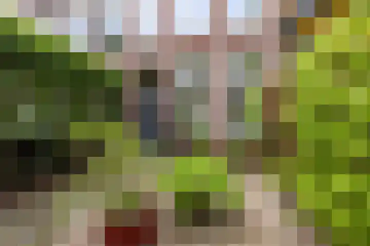 Bloemendaalseweg 299 Overveen thumbnail 45
