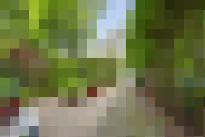 Bloemendaalseweg 299 Overveen thumbnail 46