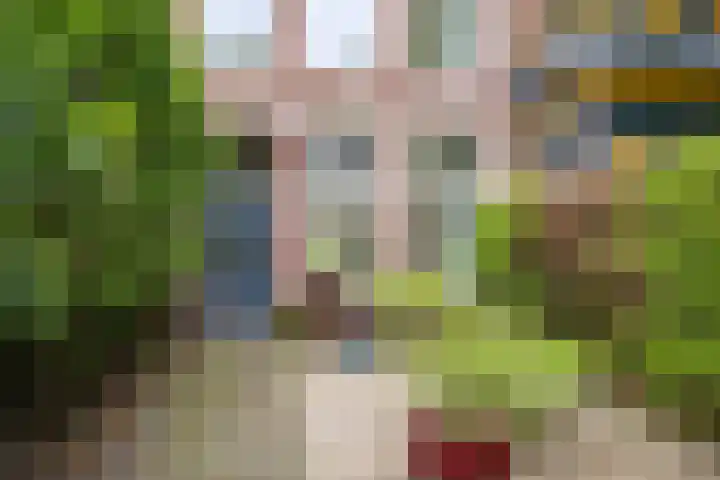Bloemendaalseweg 299 Overveen thumbnail 5