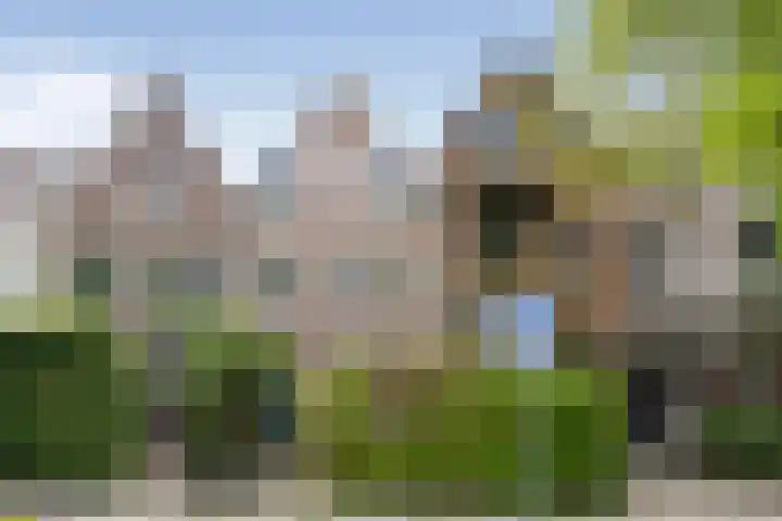Bloemendaalseweg 299 Overveen thumbnail 53