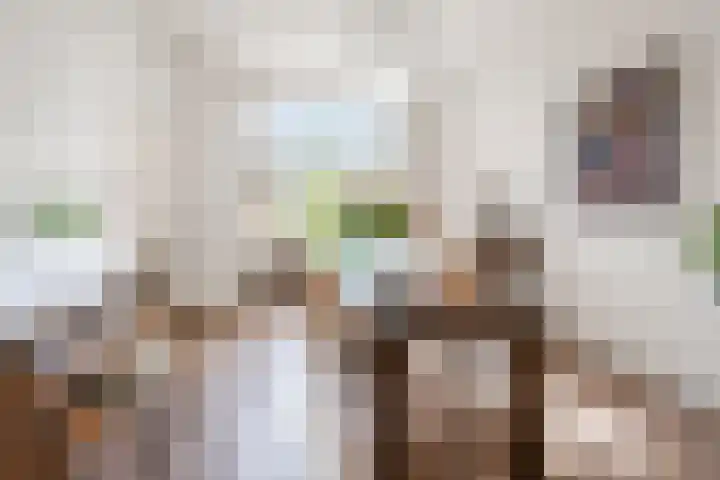 Bloemendaalseweg 299 Overveen thumbnail 7