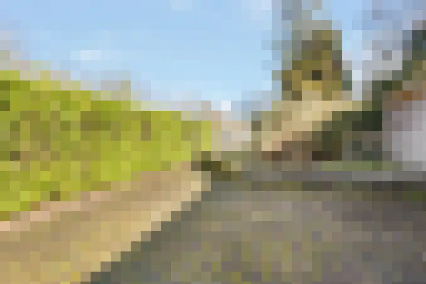 Bloemendaalseweg 3 Nijkerk thumbnail 29