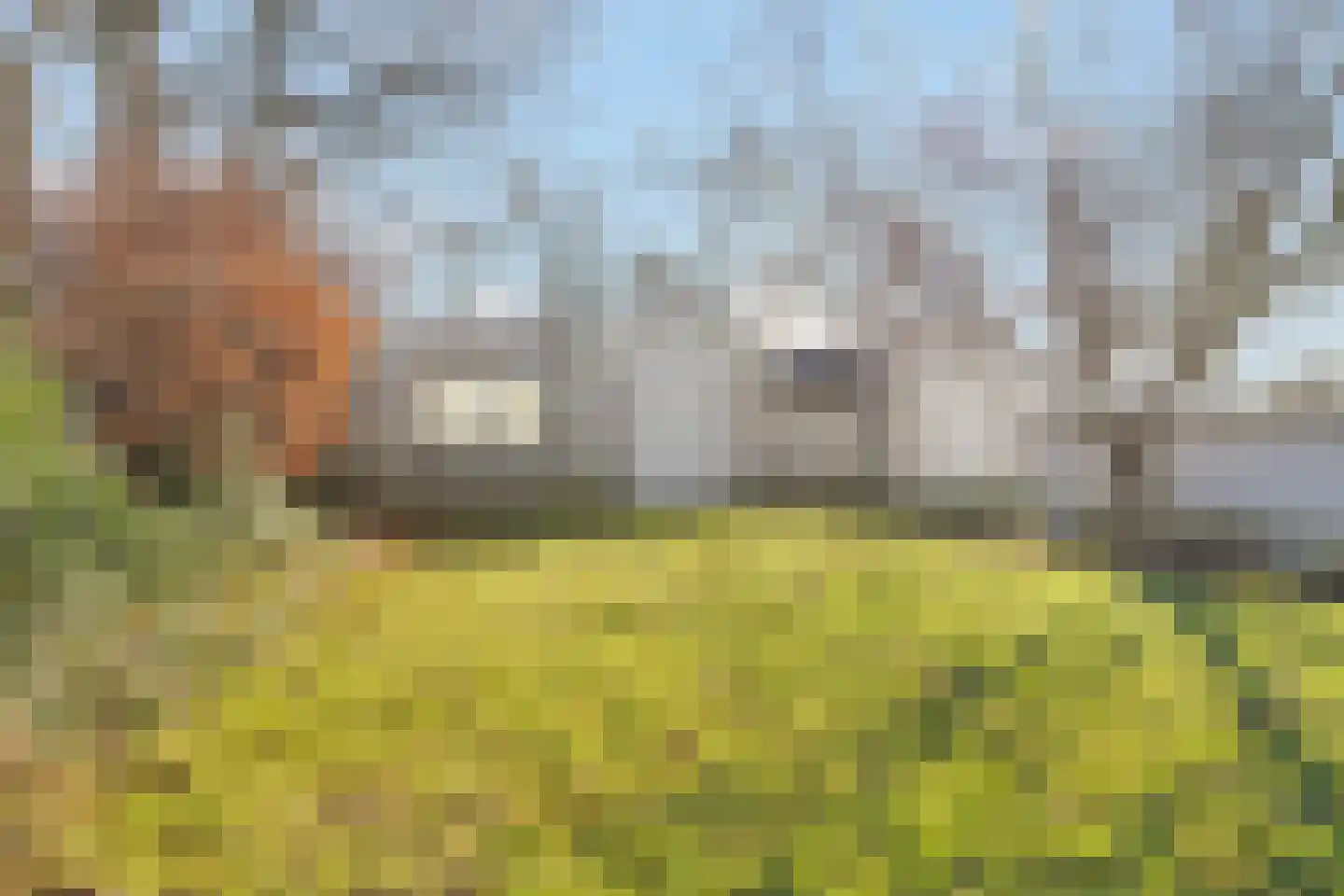 Bloemendaalseweg 3 Nijkerk thumbnail 37
