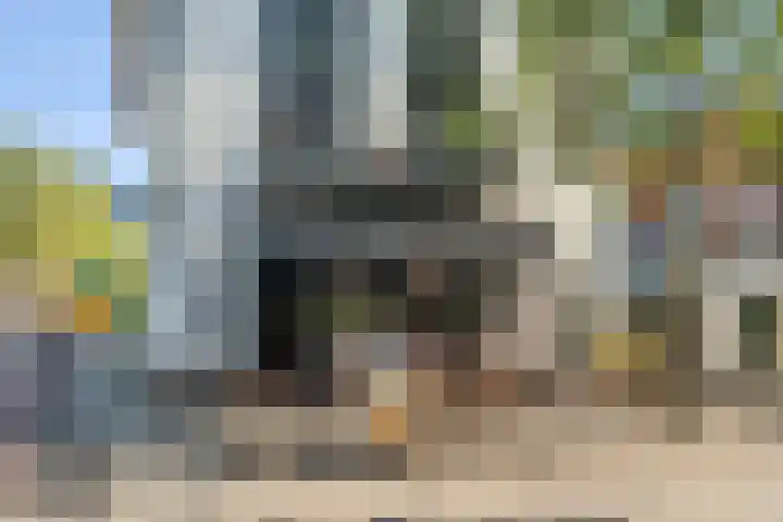 Bloemendaalseweg 341 b Overveen thumbnail 21