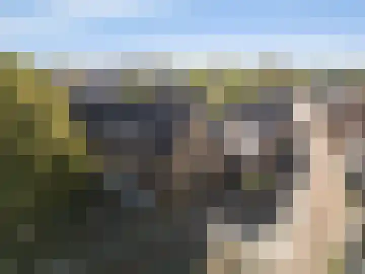 Bloemendaalseweg 341 d Overveen thumbnail 23