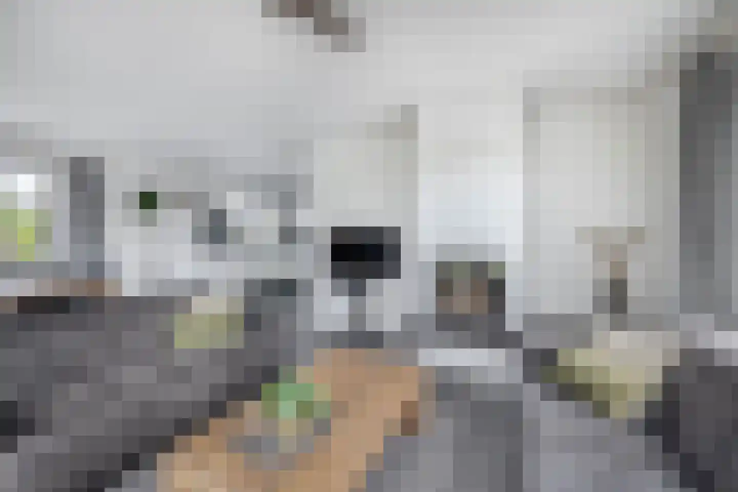 Bloemendaalseweg 6 Waddinxveen thumbnail 15