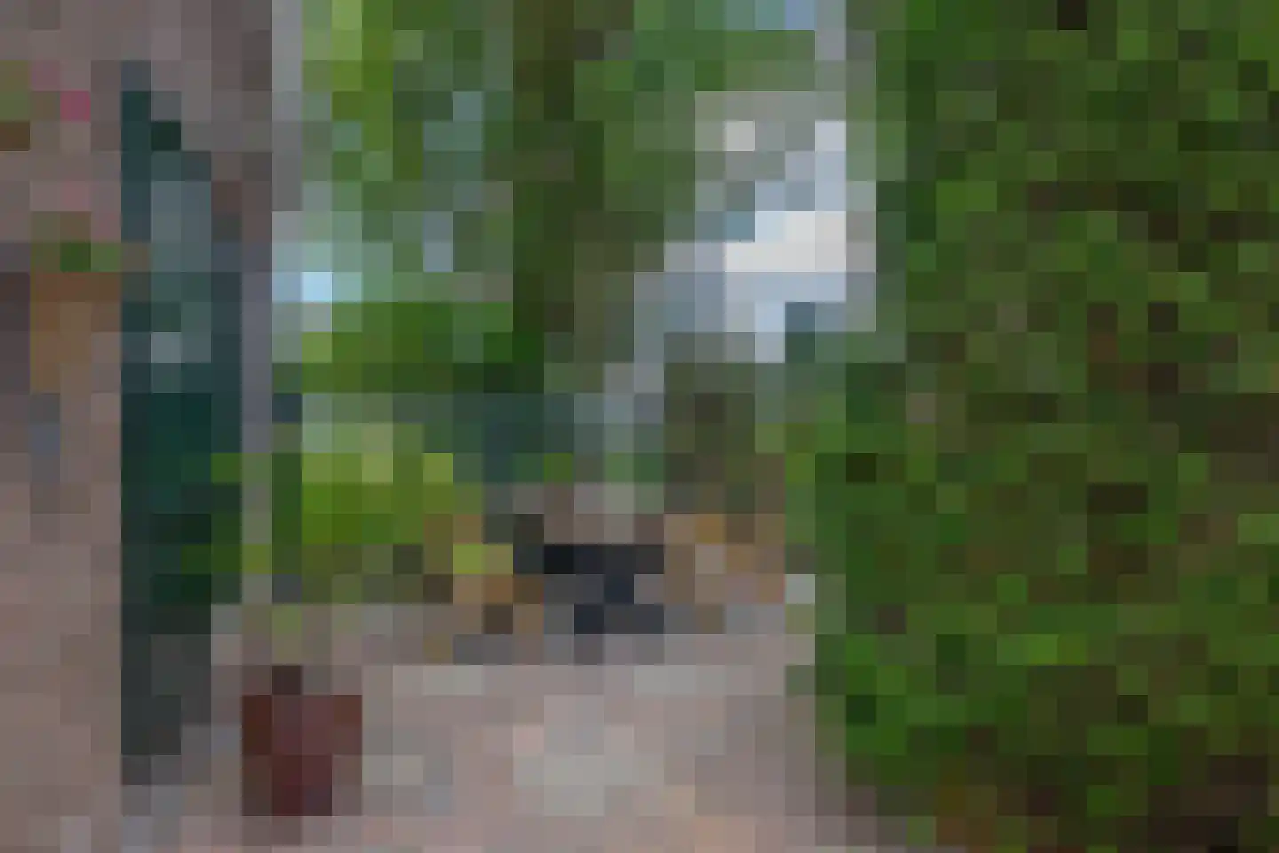 Bloemendaalseweg 6 Waddinxveen thumbnail 24