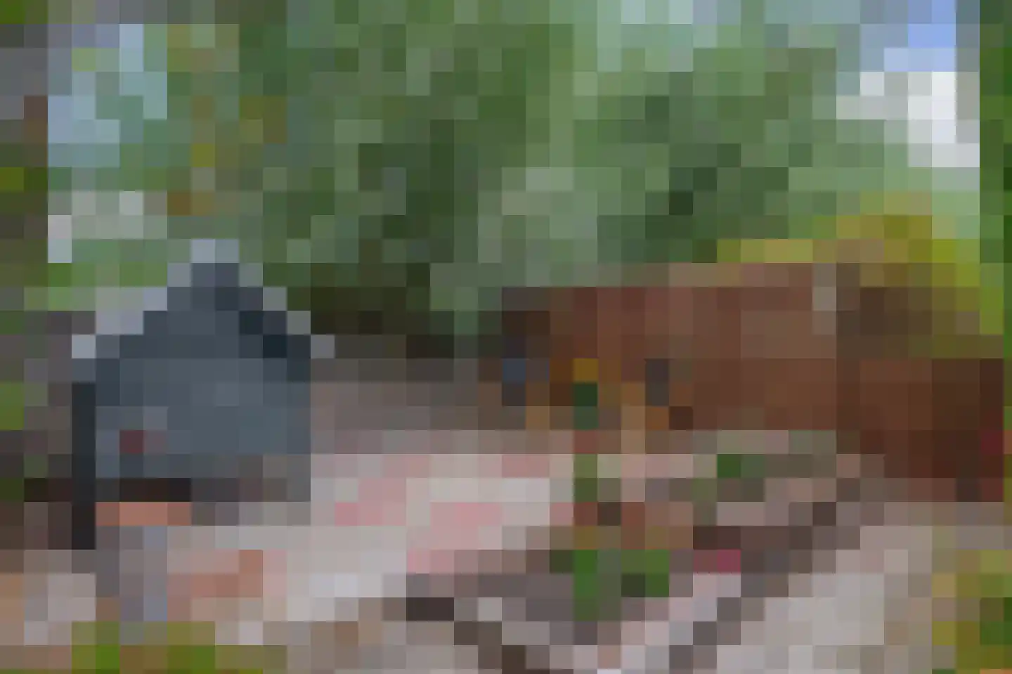 Bloemendaalseweg 6 Waddinxveen thumbnail 25