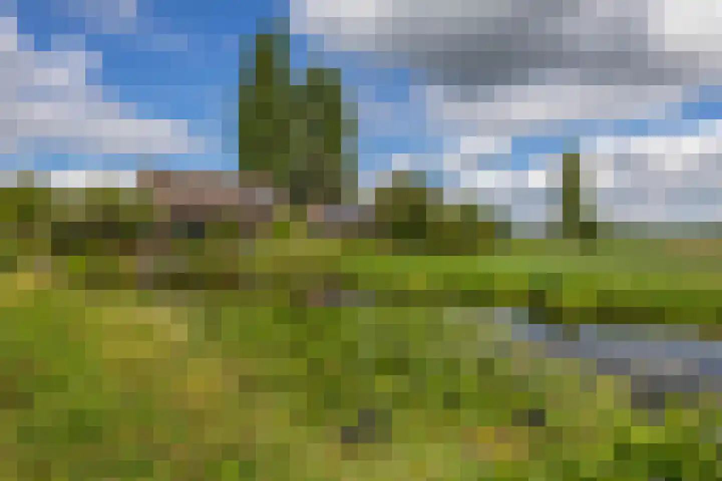 Bloemendaalseweg 6 Waddinxveen thumbnail 35