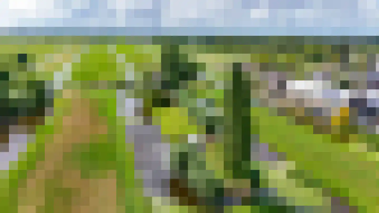 Bloemendaalseweg 6 Waddinxveen thumbnail 37