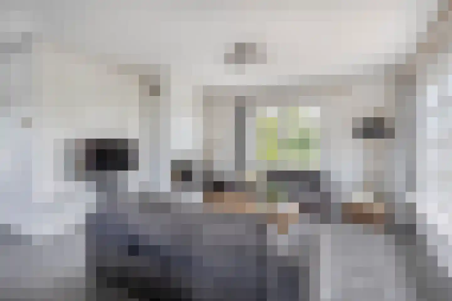Bloemendaalseweg 6 Waddinxveen thumbnail 4
