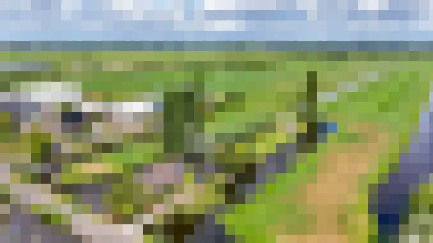 Bloemendaalseweg 6 Waddinxveen thumbnail 5