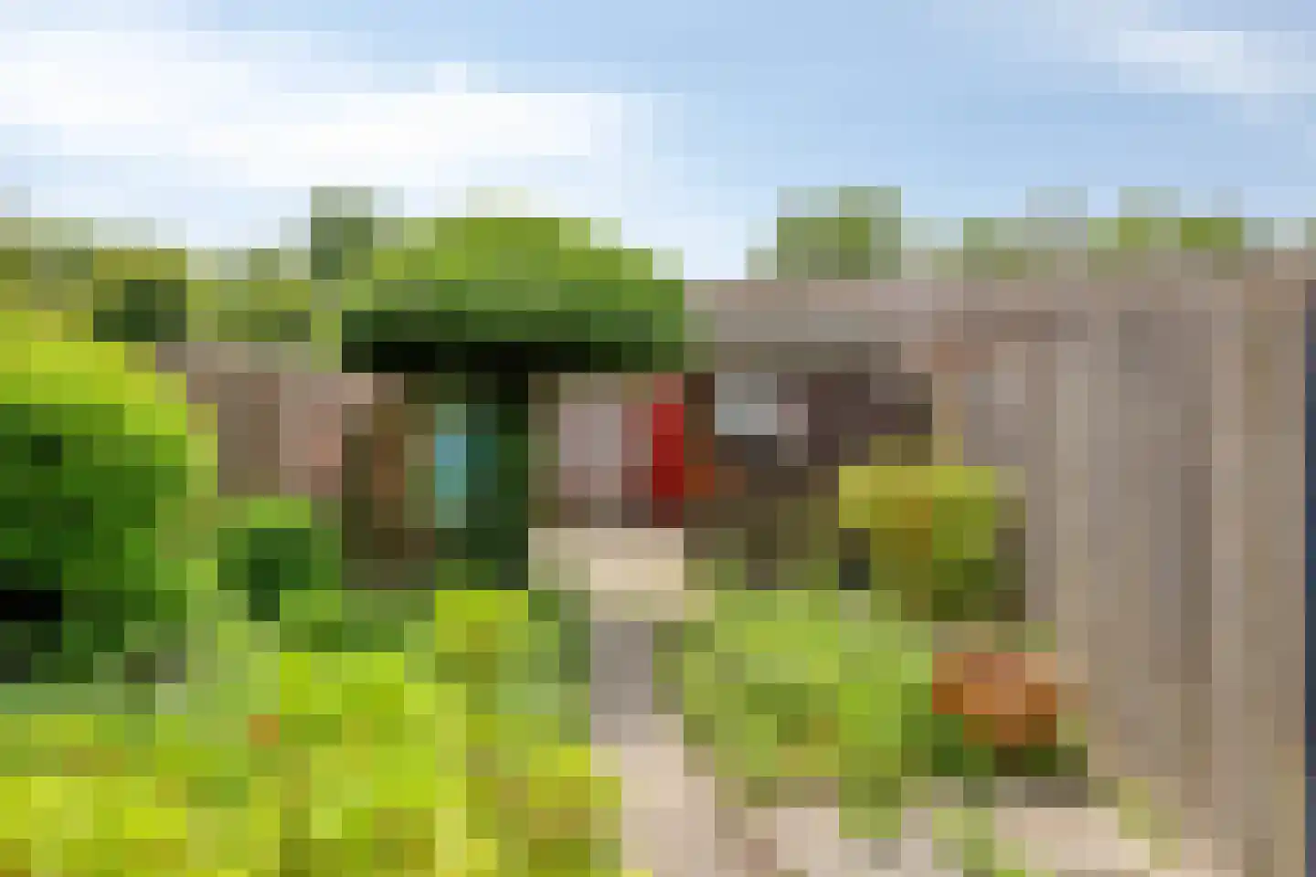 Bloemendaalstraat 24 Tilburg thumbnail 24