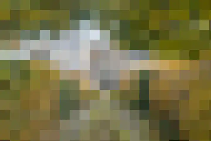 Bloemendaalstraat 28 Tilburg thumbnail 22