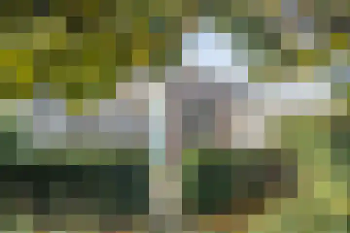 Bloemendaalstraat 28 Tilburg thumbnail 24