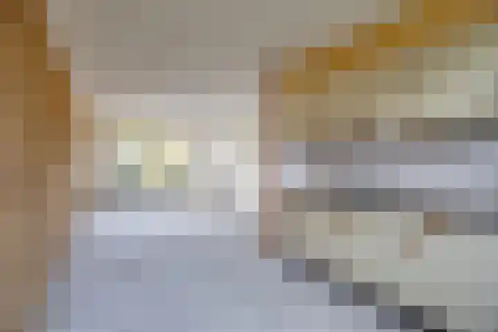 Bloemendaalstraat 28 Tilburg thumbnail 6