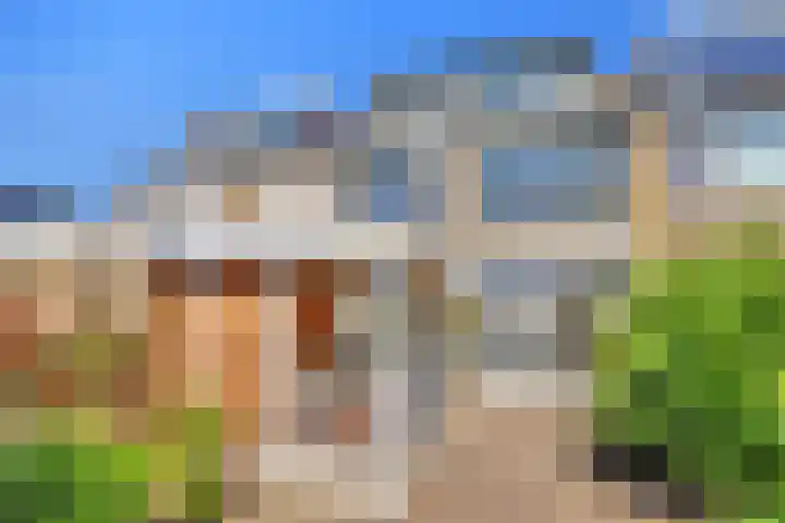 Bloemendaele 17 Heenvliet thumbnail 33