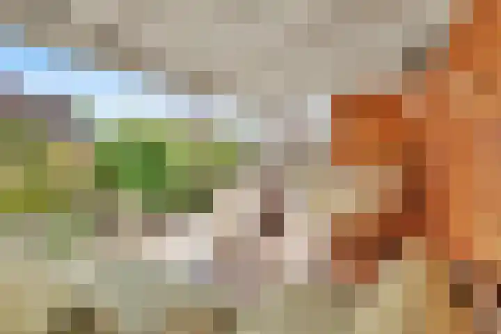 Bloemendaele 17 Heenvliet thumbnail 34