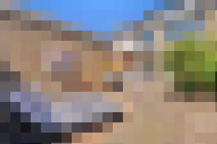 Bloemendaele 17 Heenvliet thumbnail 35